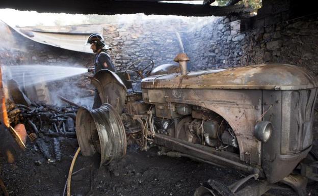 Una explotación ganadera de vacuno se ha visto afectada por el incendio forestal de Figueruela de Arriba, Zamora