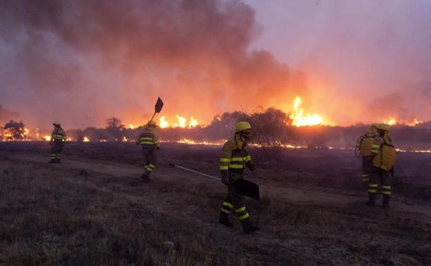 Un grupo de operarios trabaja en las labores de extinción del incendio localizado hoy entre las localidades de Medinilla y Gilbuena, en Ávila