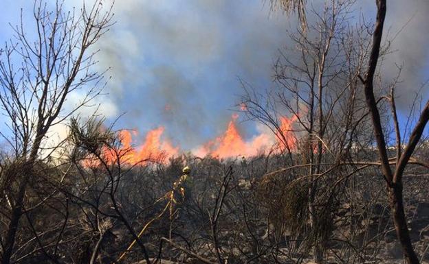 Un bombero en el incendio de Hoyocasero