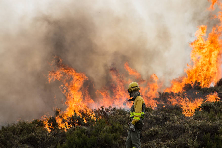 Las labores de extinción del fuego de La Cabrera