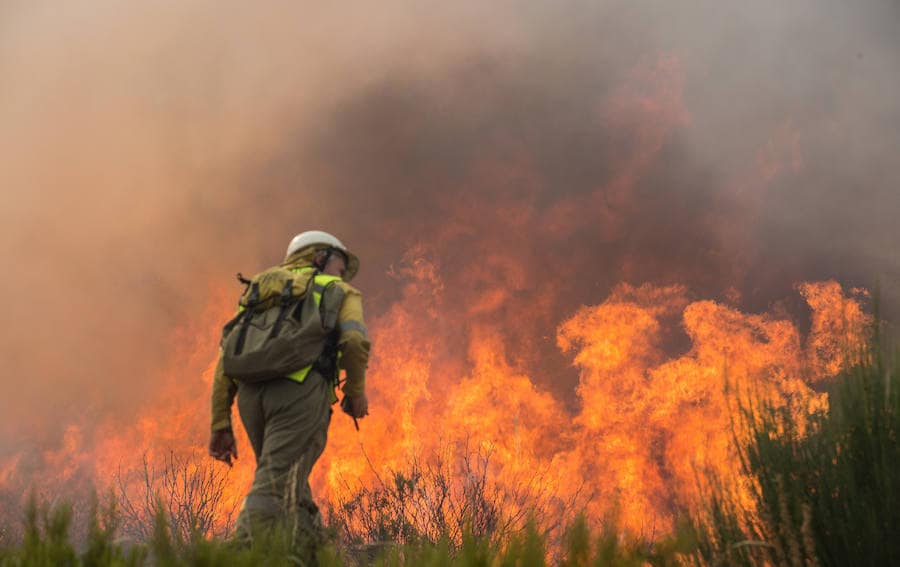 Las labores de extinción del fuego de La Cabrera