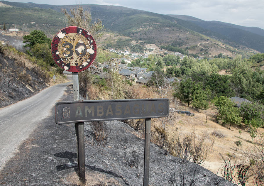 Las labores de extinción del fuego de La Cabrera