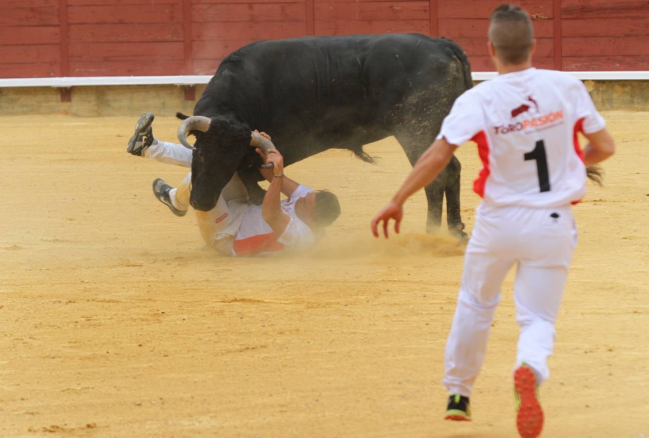 Campeonato Nacional de Recortadores de Palencia