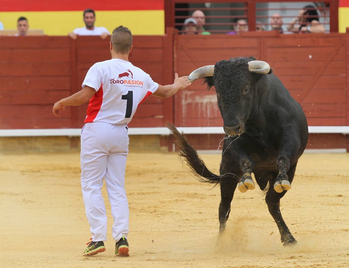 Campeonato Nacional de Recortadores de Palencia