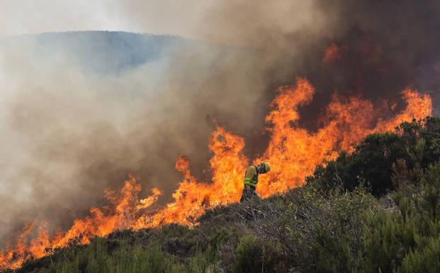 Un brigadista pasa ante las llamas que habían prendido la ladera de Santa Eulalia.