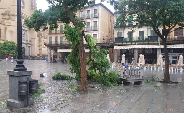 El viento y la lluvia han arrancado ramas de árboles en la Plaza Mayor de Segovia, este domingo por la mañana. 