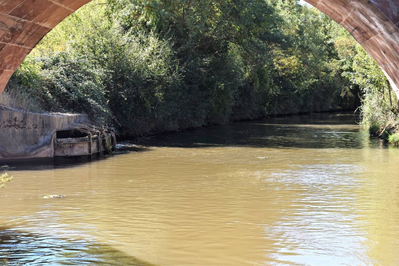 La propuesta se ha tenido que limitar al barco Marqués de la Ensenada, de Herrera de Pisuerga, debido al escaso caudal en Villaumbrales