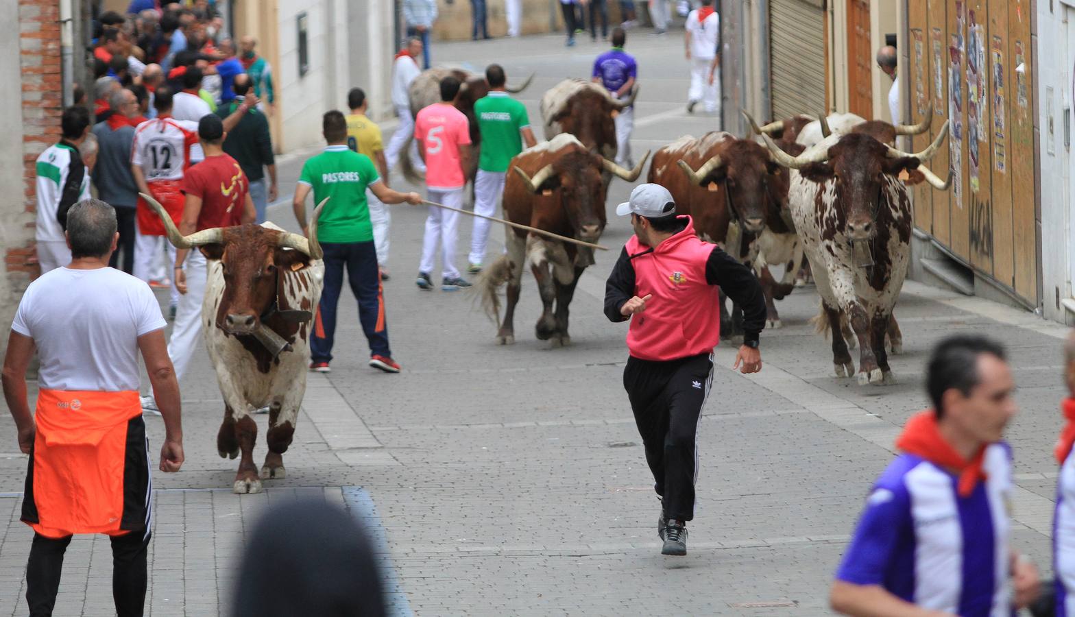 Únicamente tres astados han podido llegar al recorrido urbano y completar la carrera en el que cuatro personas han resultado heridas, dos de ellos por asta de toro y otros dos con contusiones