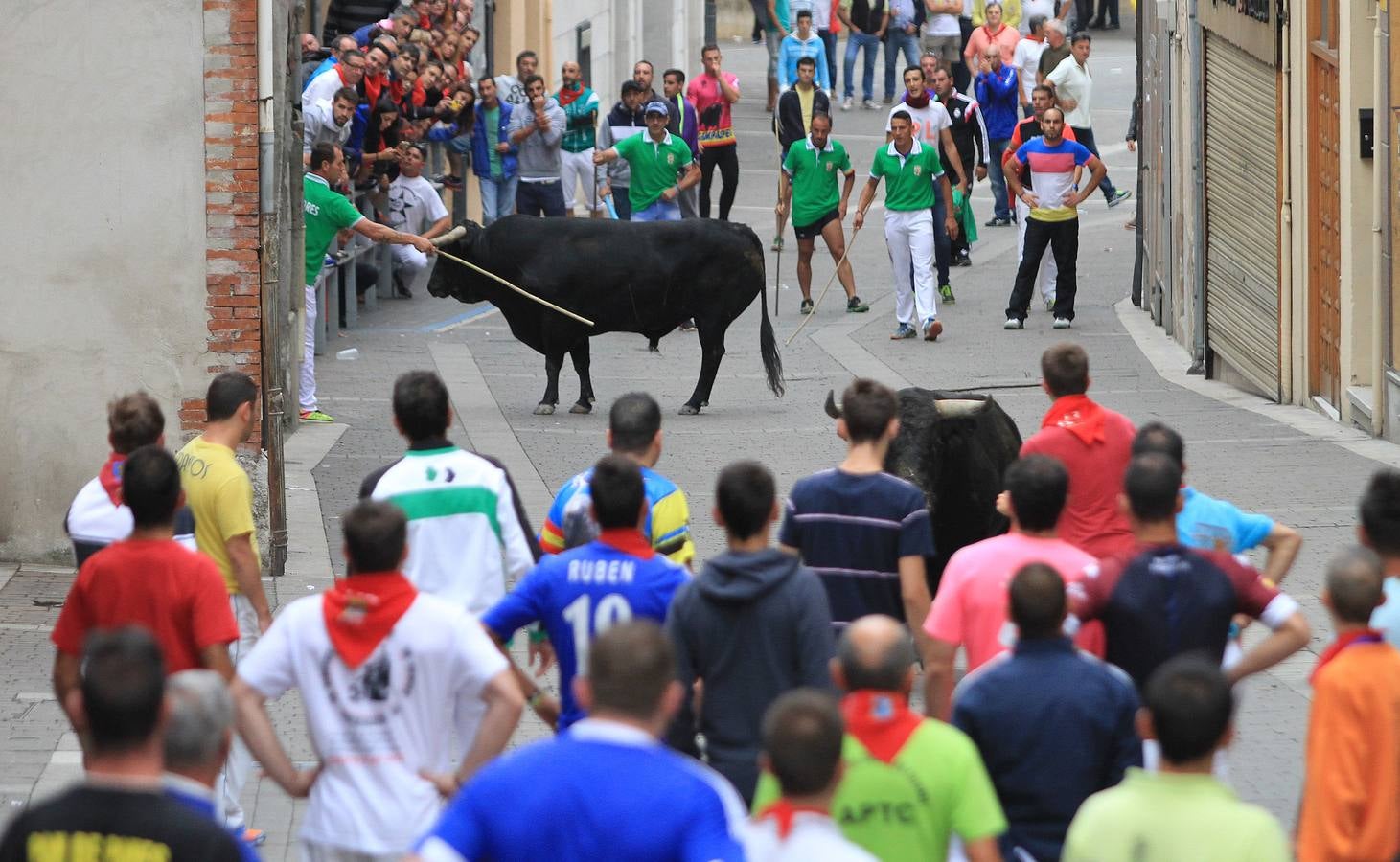 Únicamente tres astados han podido llegar al recorrido urbano y completar la carrera en el que cuatro personas han resultado heridas, dos de ellos por asta de toro y otros dos con contusiones