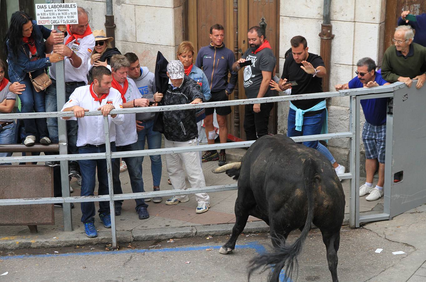 Únicamente tres astados han podido llegar al recorrido urbano y completar la carrera en el que cuatro personas han resultado heridas, dos de ellos por asta de toro y otros dos con contusiones