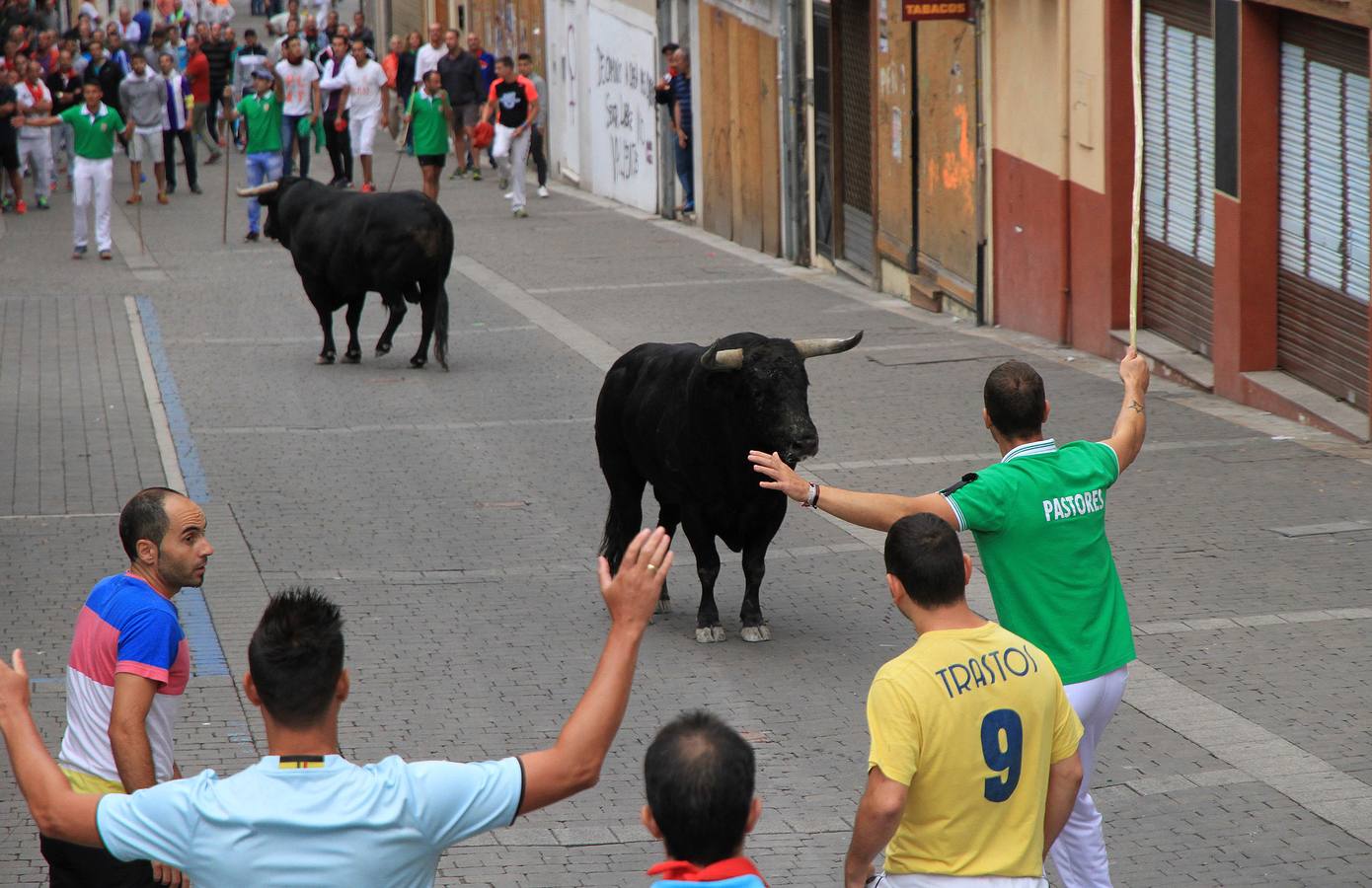 Únicamente tres astados han podido llegar al recorrido urbano y completar la carrera en el que cuatro personas han resultado heridas, dos de ellos por asta de toro y otros dos con contusiones