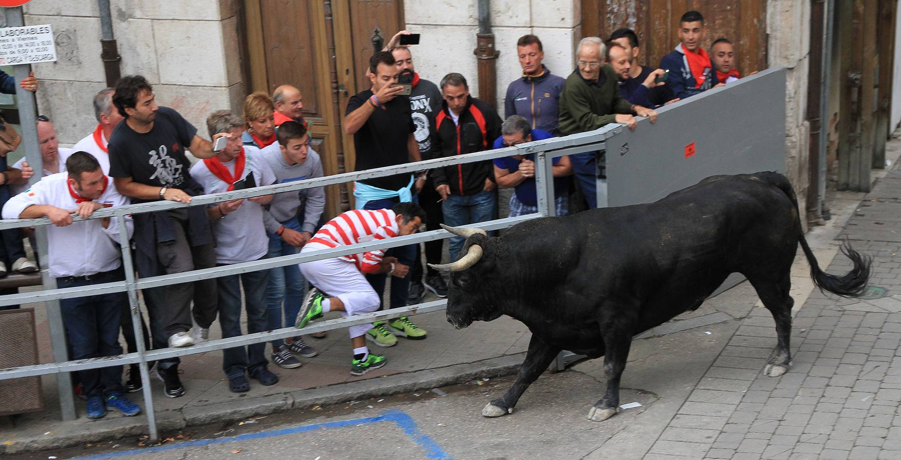 Únicamente tres astados han podido llegar al recorrido urbano y completar la carrera en el que cuatro personas han resultado heridas, dos de ellos por asta de toro y otros dos con contusiones