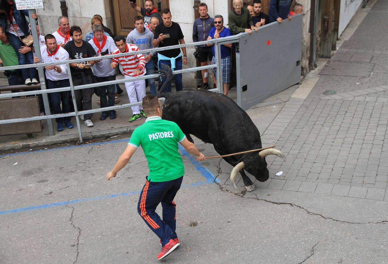 Únicamente tres astados han podido llegar al recorrido urbano y completar la carrera en el que cuatro personas han resultado heridas, dos de ellos por asta de toro y otros dos con contusiones