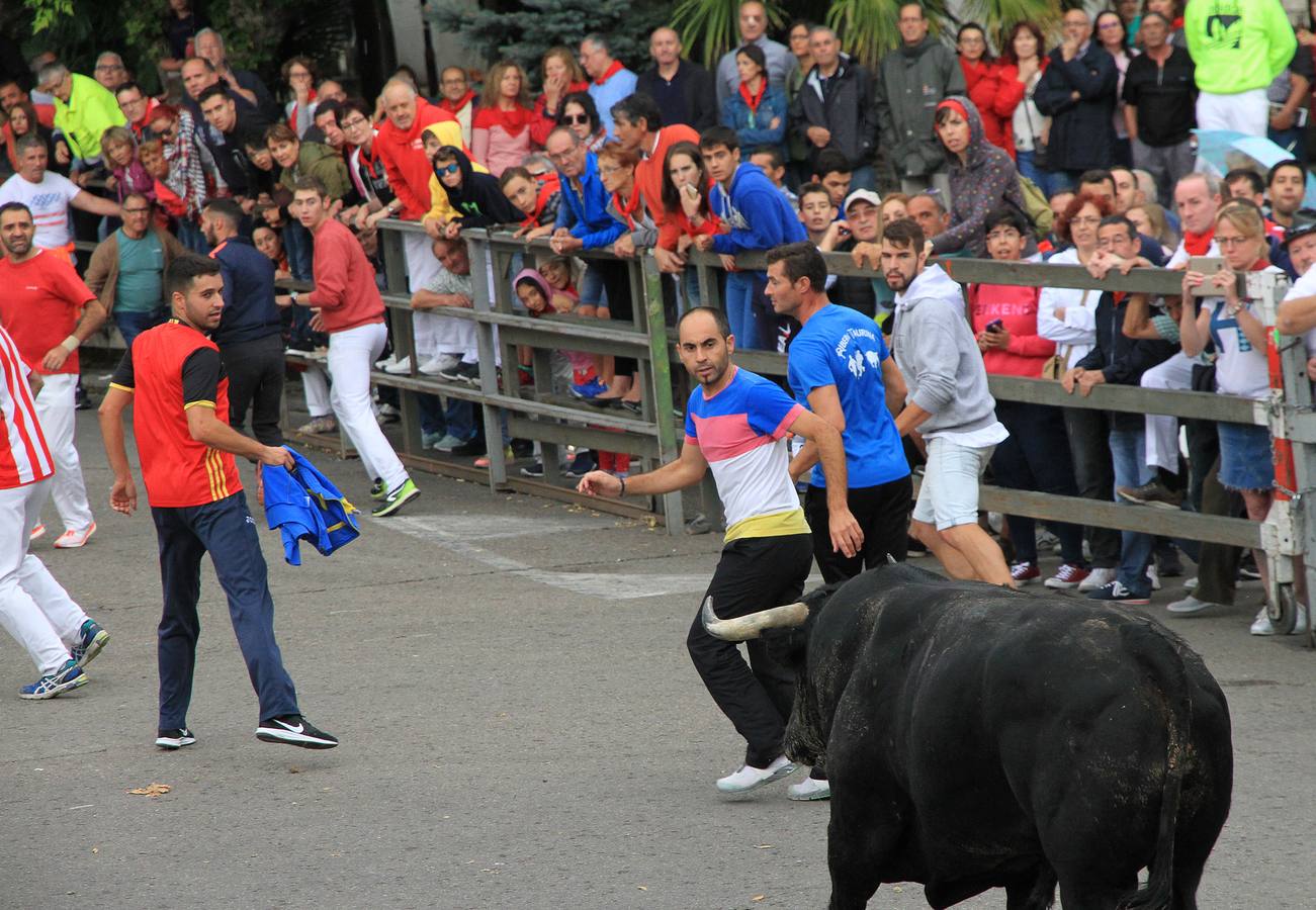 Únicamente tres astados han podido llegar al recorrido urbano y completar la carrera en el que cuatro personas han resultado heridas, dos de ellos por asta de toro y otros dos con contusiones