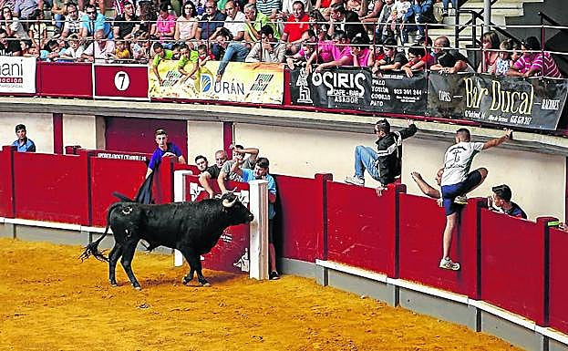 Festejos taurinos en Alba de Tormes. 