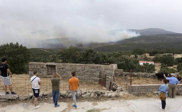 El sector defiende que los ganaderos no provocaron el incendio de Hoyocasero