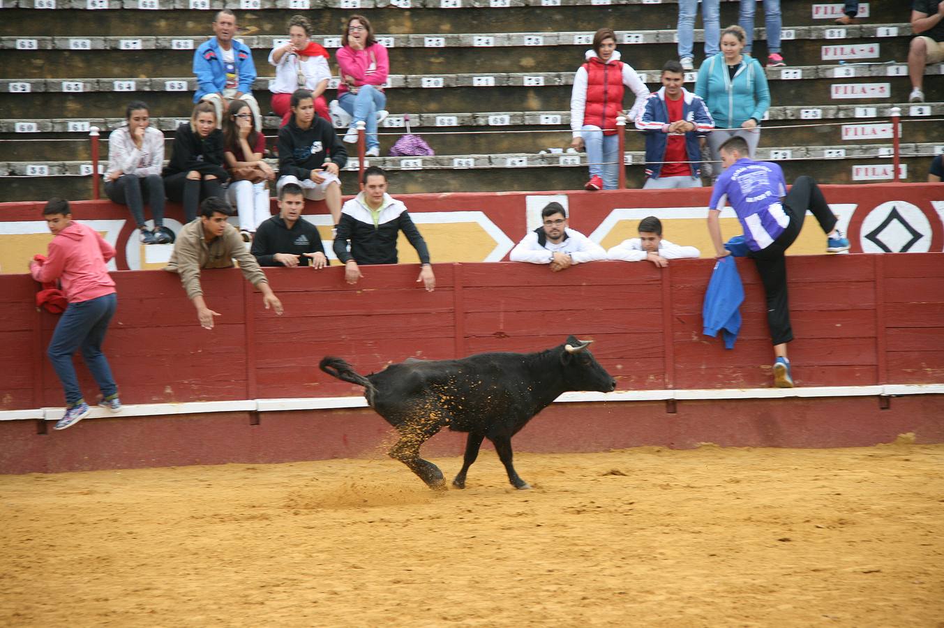 Encierros del Chupete, de Promoción y juegos de toros acercan a los más pequeños a iniciarse en el mundo de la tauromaquia