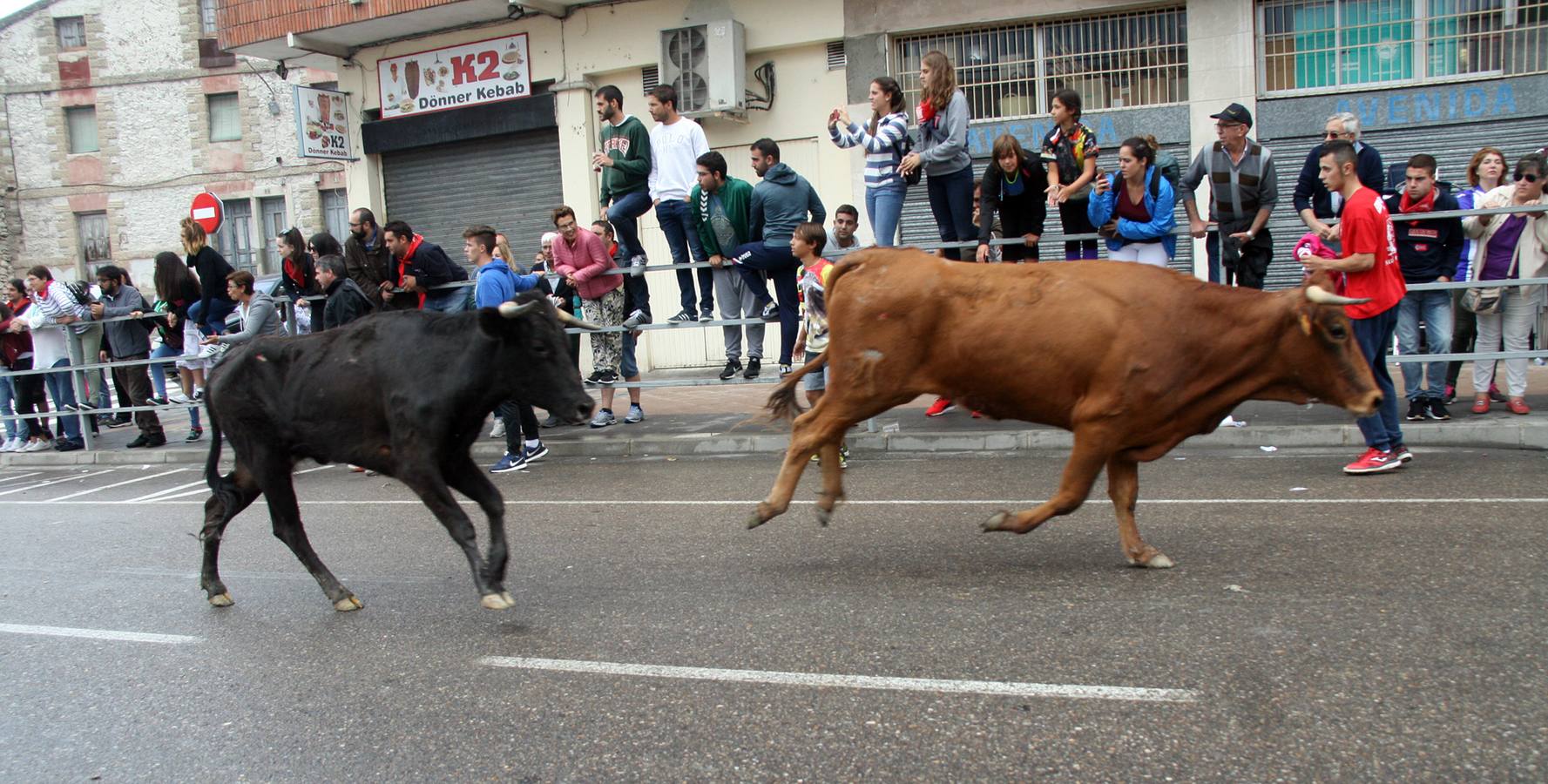 Encierros del Chupete, de Promoción y juegos de toros acercan a los más pequeños a iniciarse en el mundo de la tauromaquia