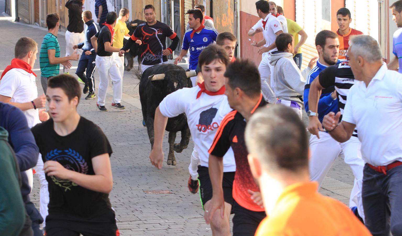 Los toros de la ganadería de Lagunajanada, protagonizaron momentos emocionantes y peligrosos en las calles, al entrar toda la manada disgregada