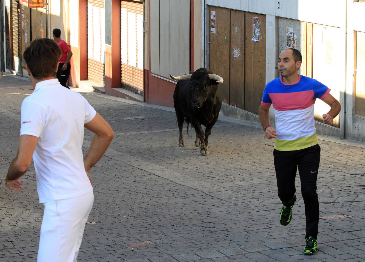 Los toros de la ganadería de Lagunajanada, protagonizaron momentos emocionantes y peligrosos en las calles, al entrar toda la manada disgregada