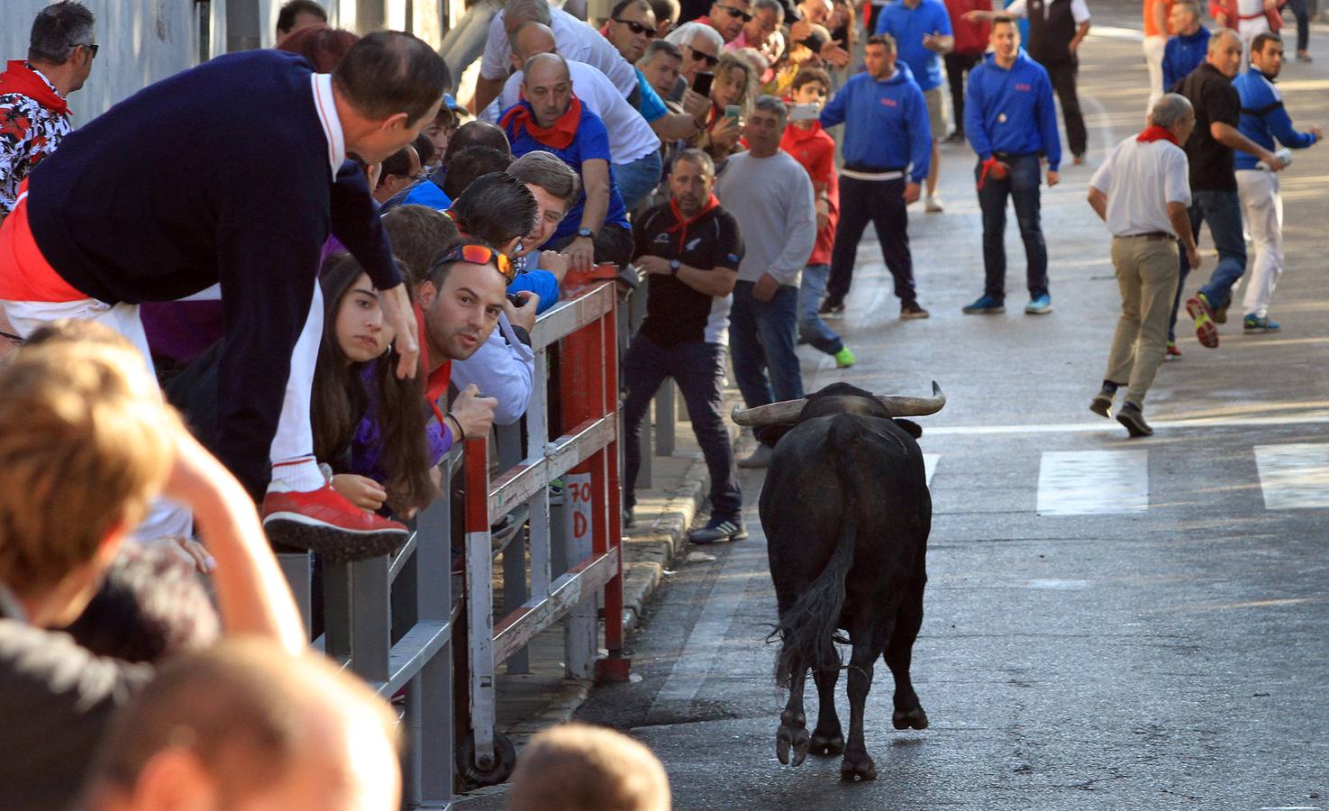 Los toros de la ganadería de Lagunajanada, protagonizaron momentos emocionantes y peligrosos en las calles, al entrar toda la manada disgregada