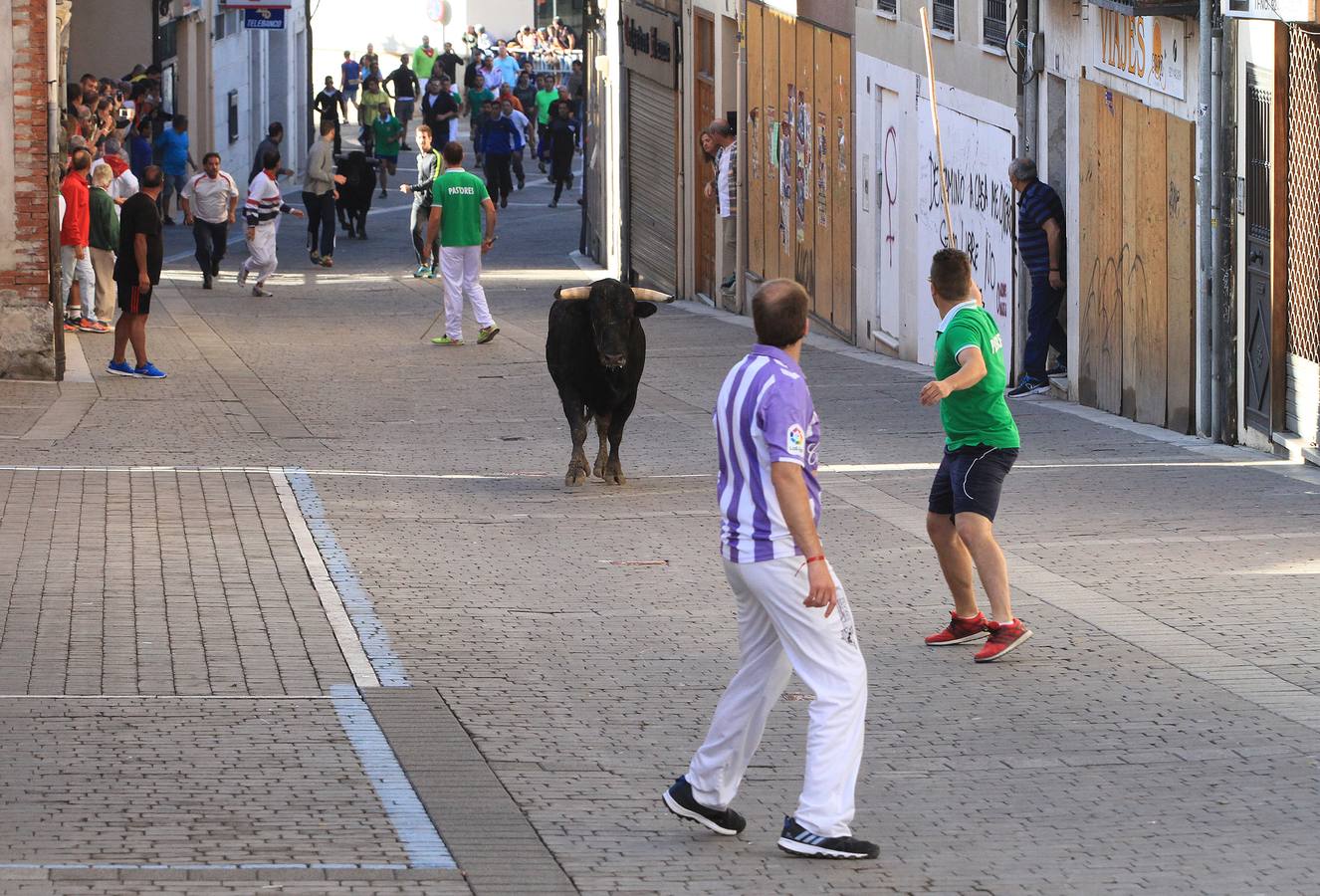 Los toros de la ganadería de Lagunajanada, protagonizaron momentos emocionantes y peligrosos en las calles, al entrar toda la manada disgregada