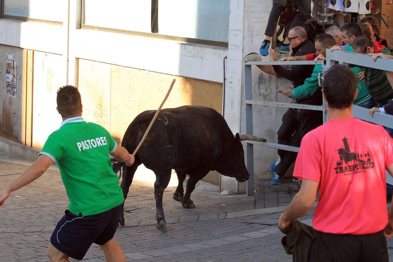 Los toros de la ganadería de Lagunajanada, protagonizaron momentos emocionantes y peligrosos en las calles, al entrar toda la manada disgregada