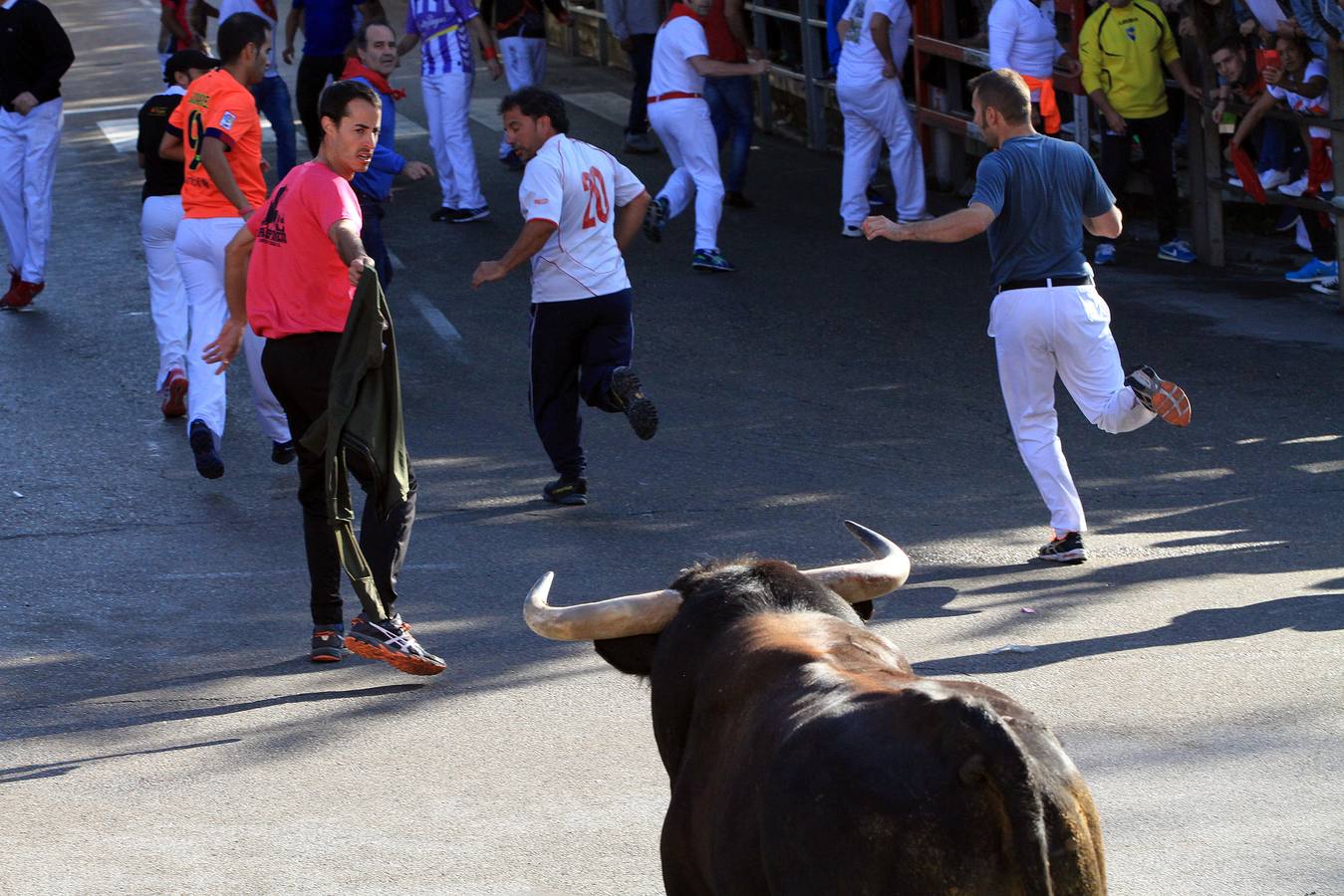 Los toros de la ganadería de Lagunajanada, protagonizaron momentos emocionantes y peligrosos en las calles, al entrar toda la manada disgregada