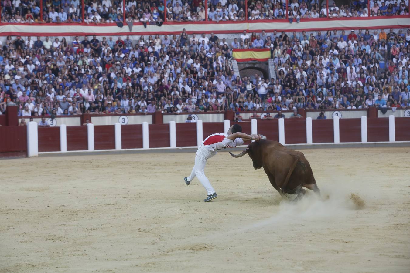 Pablo Martín &#039;Guindi&#039; gana la Liga del Corte Puro