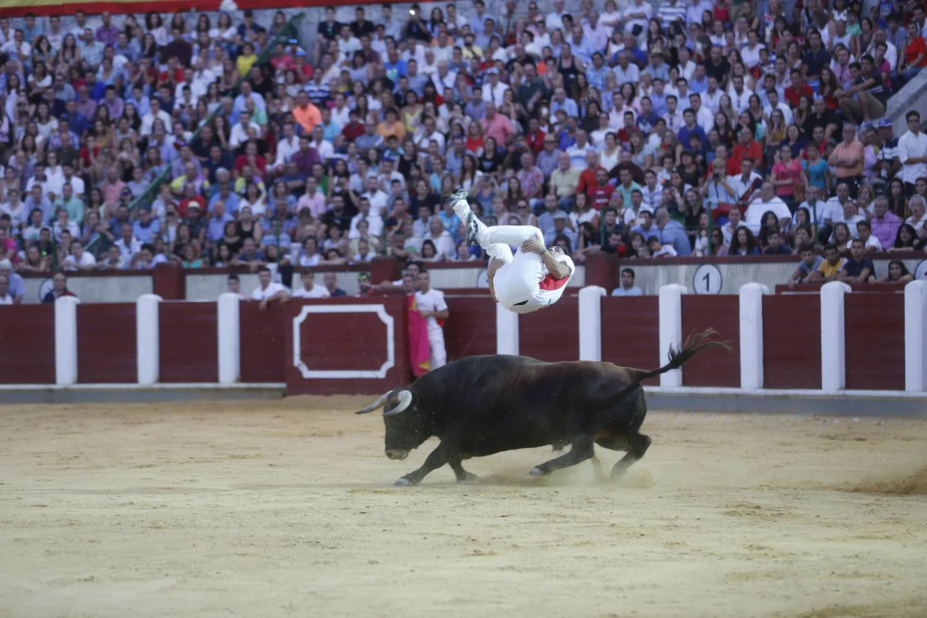 Pablo Martín &#039;Guindi&#039; gana la Liga del Corte Puro