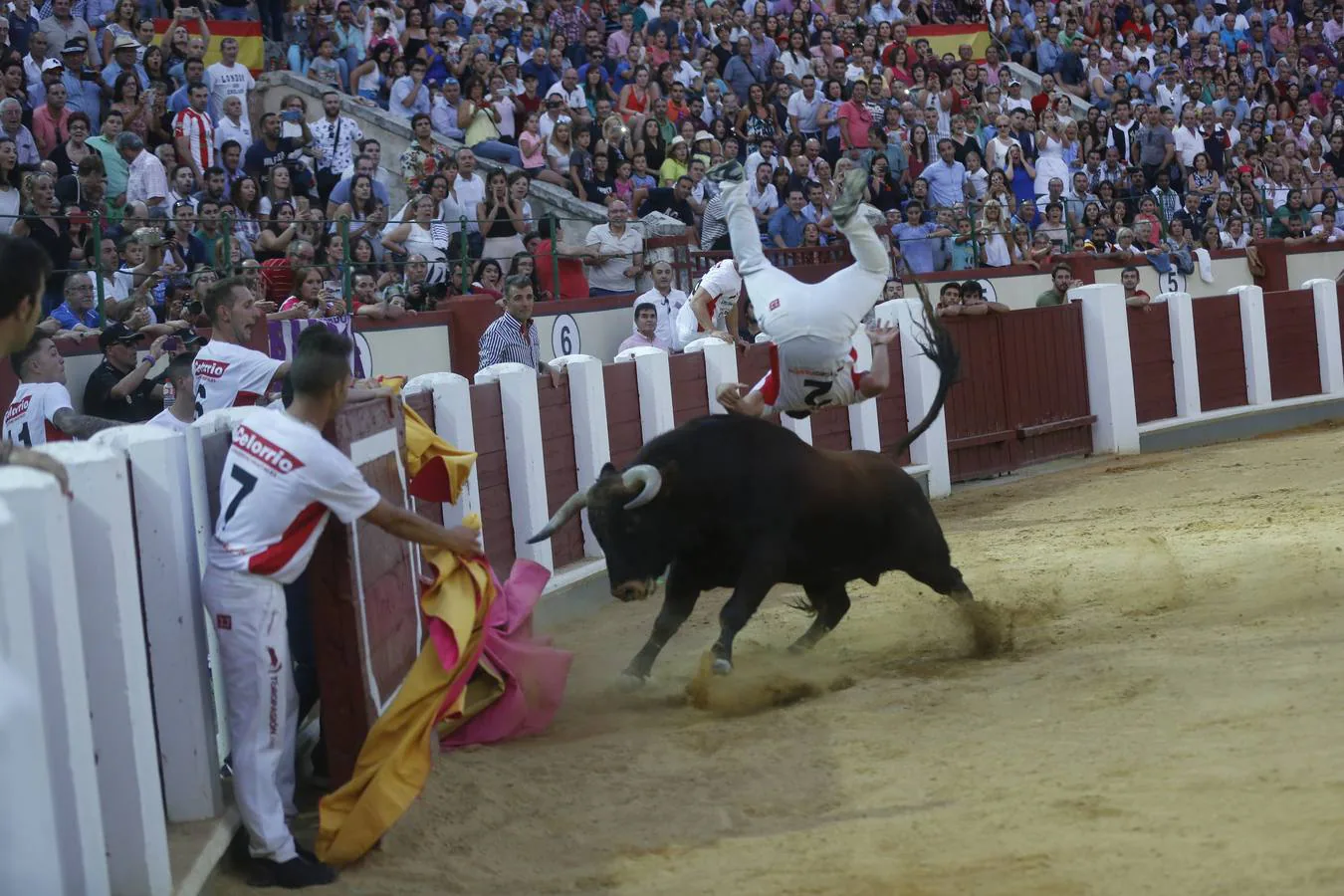 Pablo Martín &#039;Guindi&#039; gana la Liga del Corte Puro