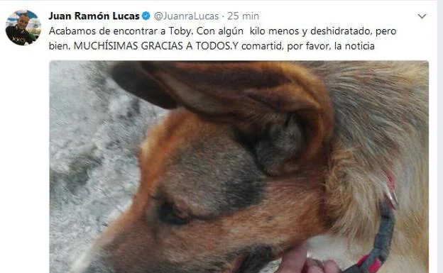 Juan Ramón Lucas pierde a su perro en Peñafiel y Twitter se vuelca para ayudarle