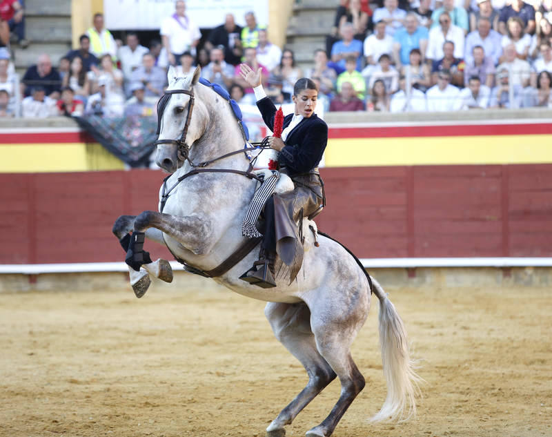 Corrida de rejones en Palencia