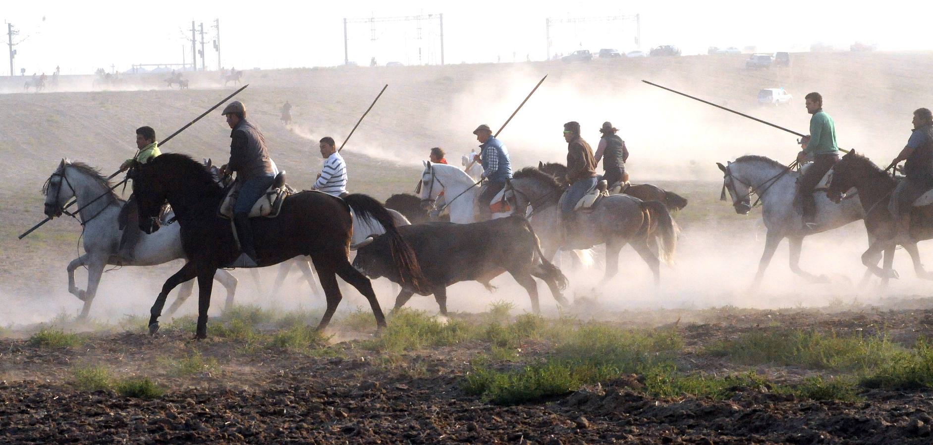 La suelta que se caracterizo por su rapidez y no contó con incidentes reseñables