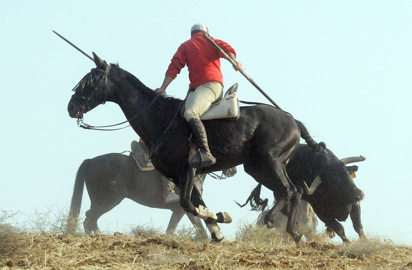 La suelta que se caracterizo por su rapidez y no contó con incidentes reseñables