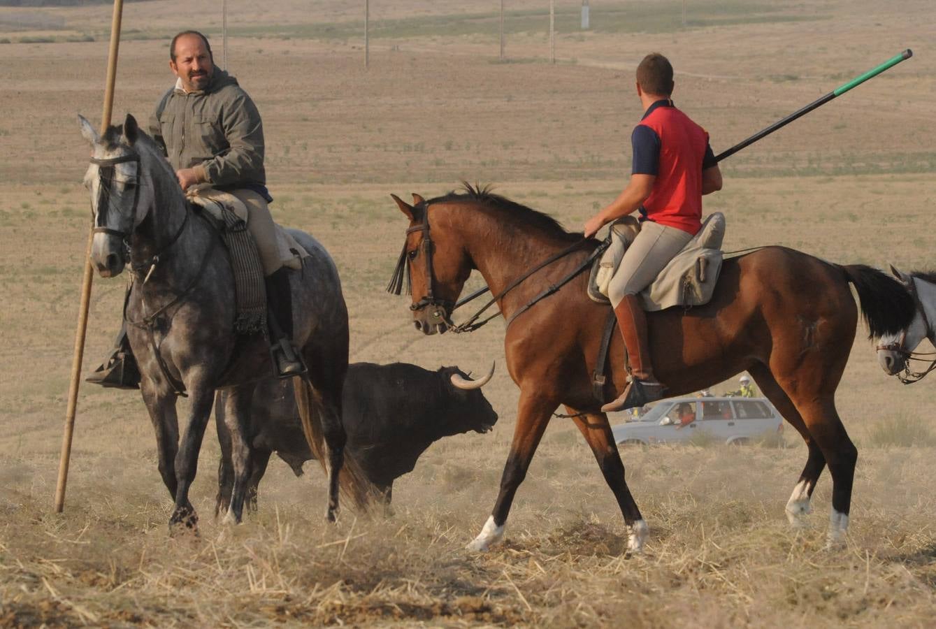La suelta que se caracterizo por su rapidez y no contó con incidentes reseñables