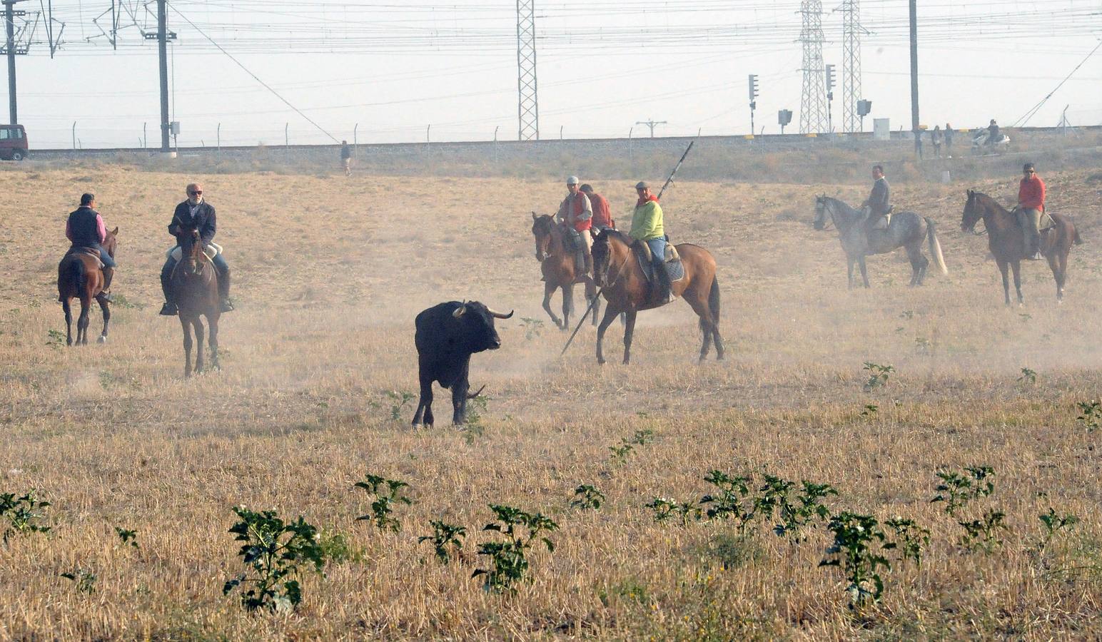 La suelta que se caracterizo por su rapidez y no contó con incidentes reseñables