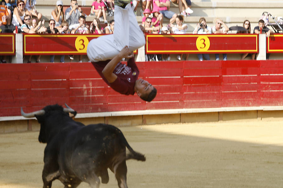 Concurso de cortes en Laguna de Duero