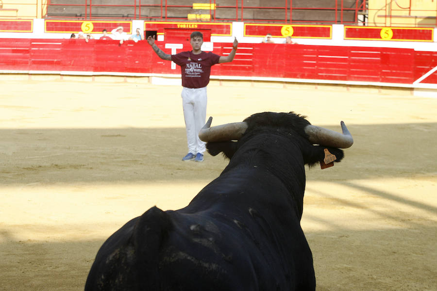 Concurso de cortes en Laguna de Duero