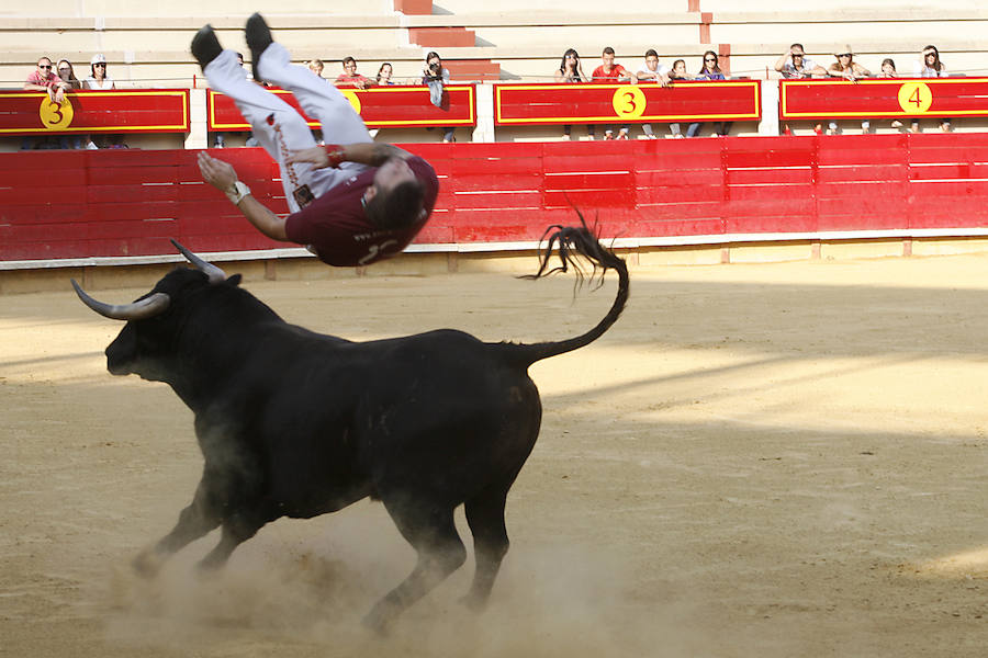 Concurso de cortes en Laguna de Duero