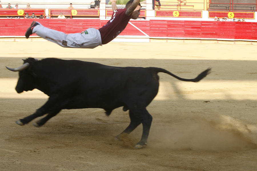 Concurso de cortes en Laguna de Duero