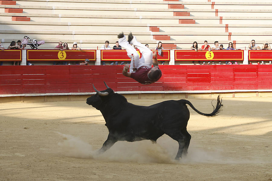 Concurso de cortes en Laguna de Duero