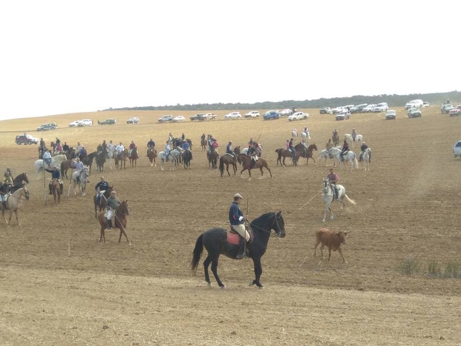 Fiestas en Paredes de Nava