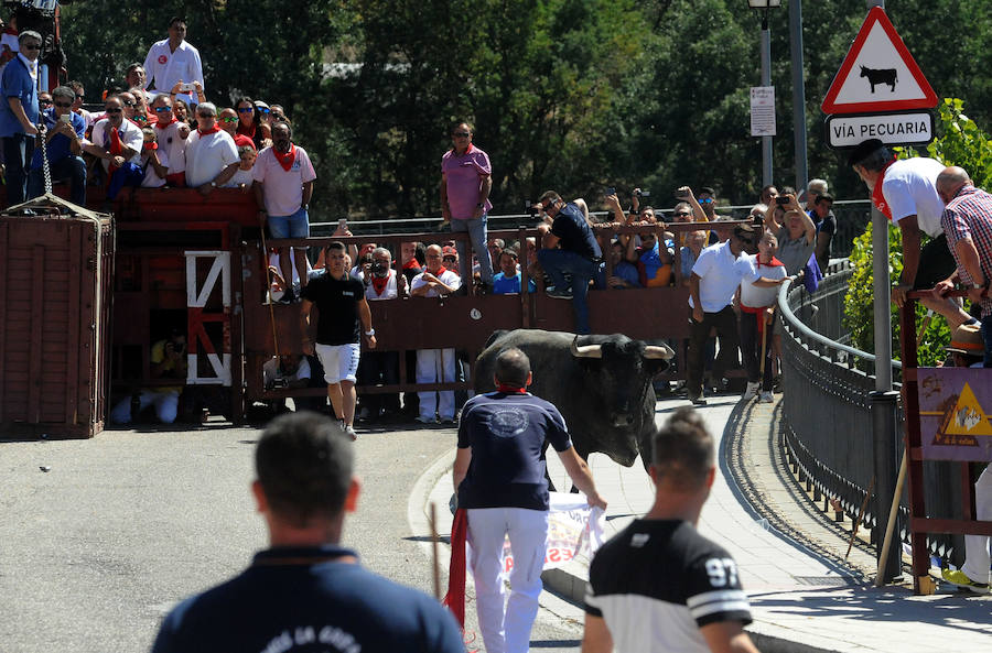Toro del Cajón en Tordesillas
