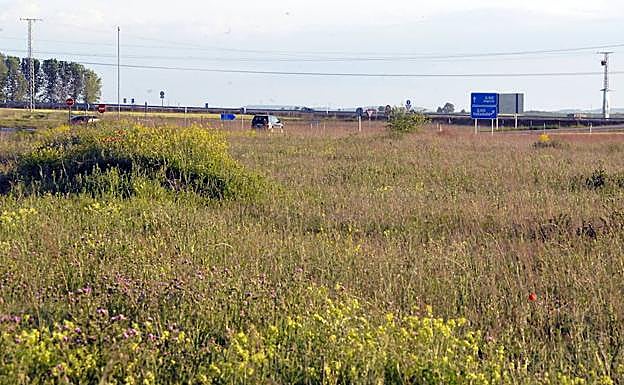 Terrenos de Portillo