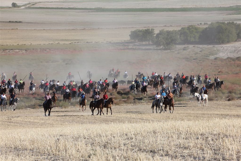 Segundo encierro de las fiestas de Arrabal de Portillo (Valladolid)