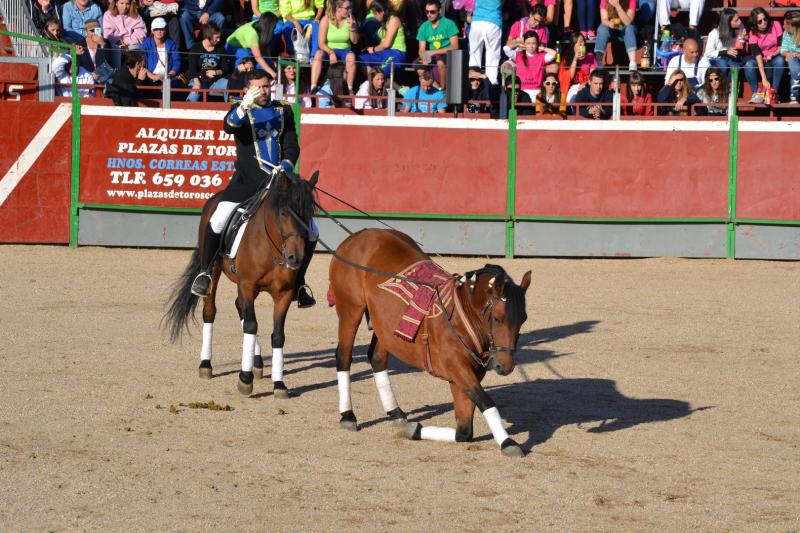 Fiestas de Astudillo