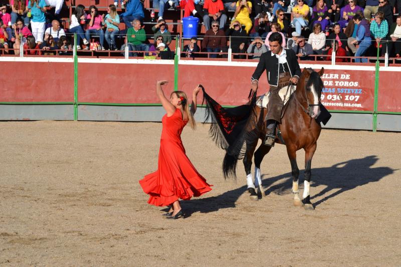 Fiestas de Astudillo