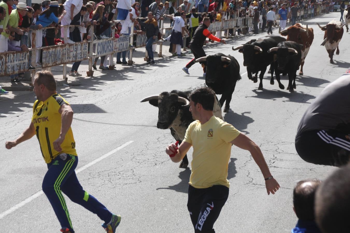 Fiestas en Nava de la Asunción (Segovia)