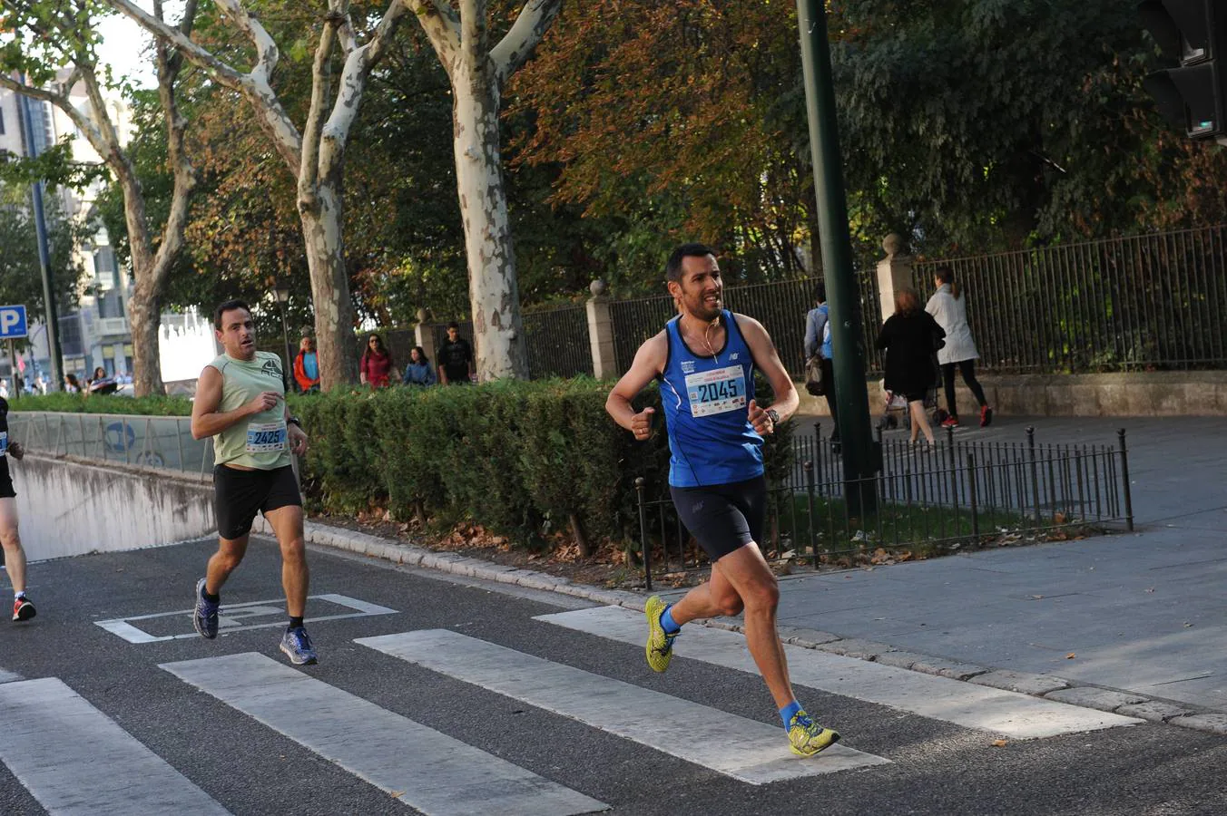 XXIX Media Maratón Ciudad de Valladolid y V Legua (3/4)